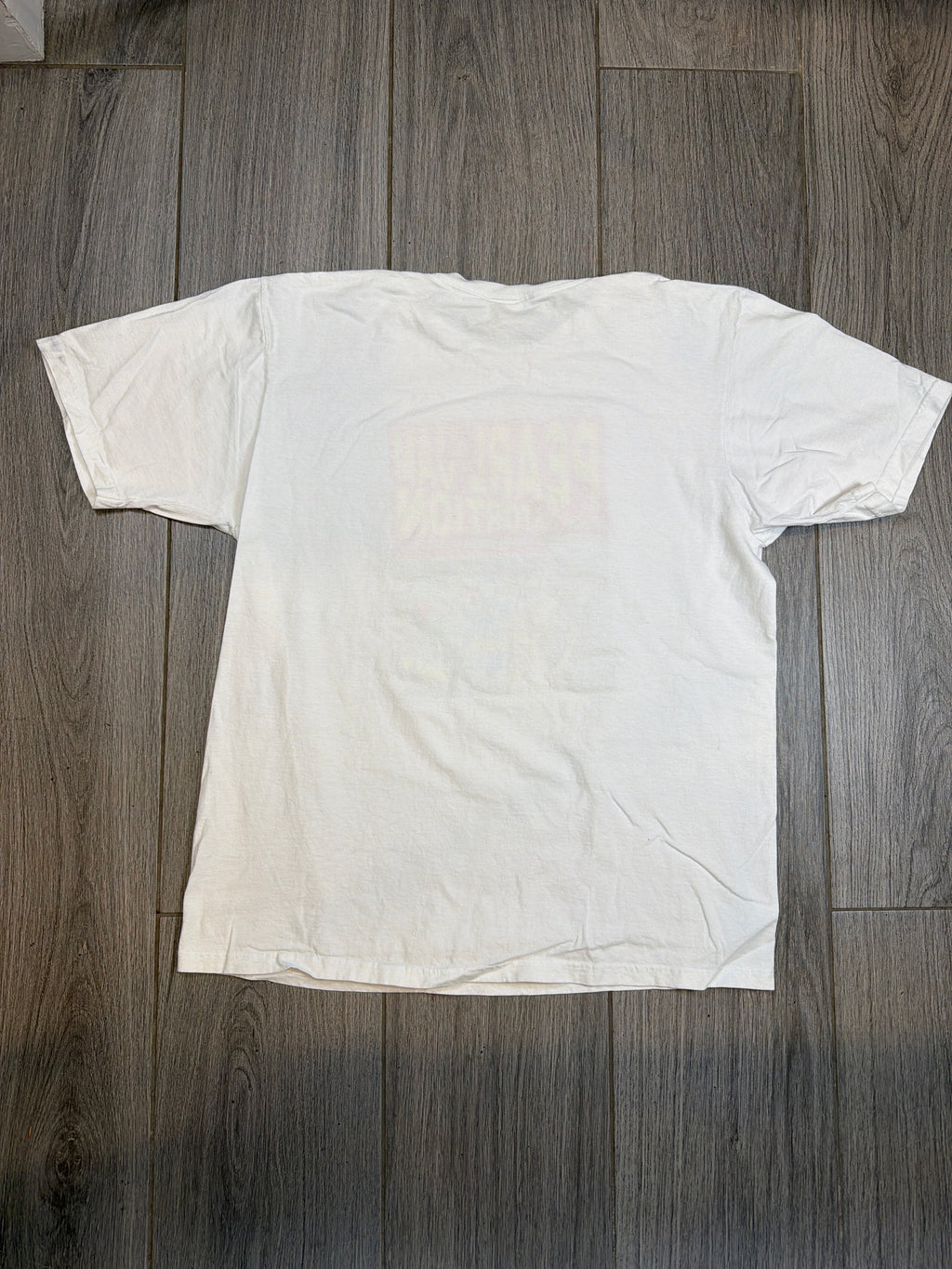 2009 Pearl Jam Social Distortion Graphic Anvil T-Shirt Large