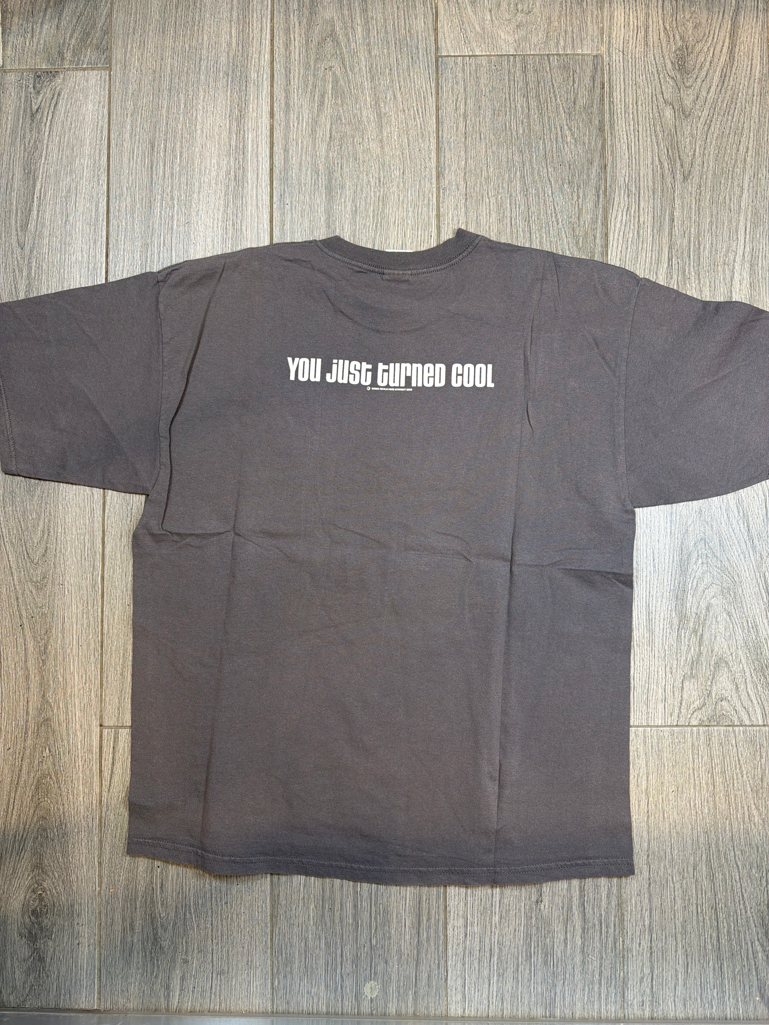 00s Straight Edge Never Died You Just Turned Cool Grey T-Shirt XL