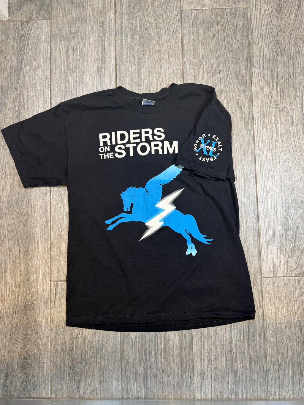 RARE 2007 The Doors Riders on the Storm 40 Year Tour Black Pegasus T-Shirt Large