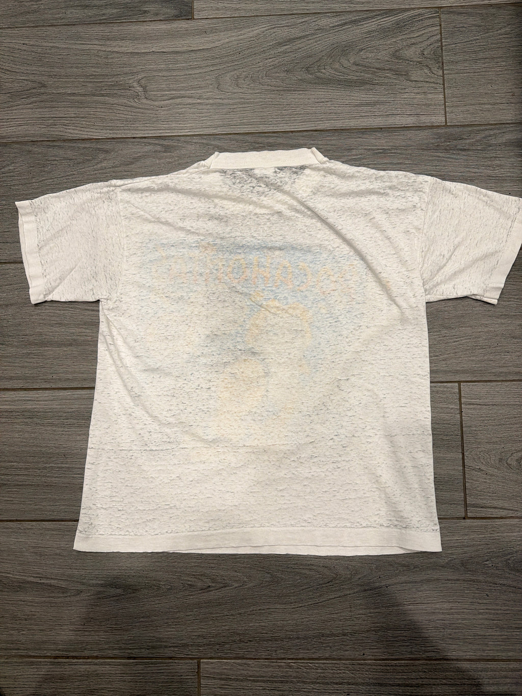 90s Pocahontas Disney Sheer White Distressed T-Shirt Wide Medium