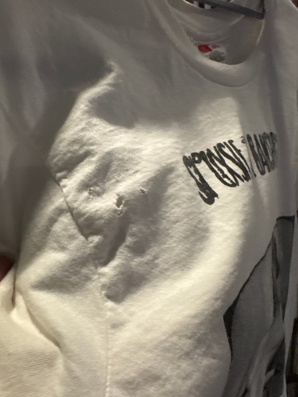 90s Sioxsie and the Banshees Nude Shirt M Hanes White