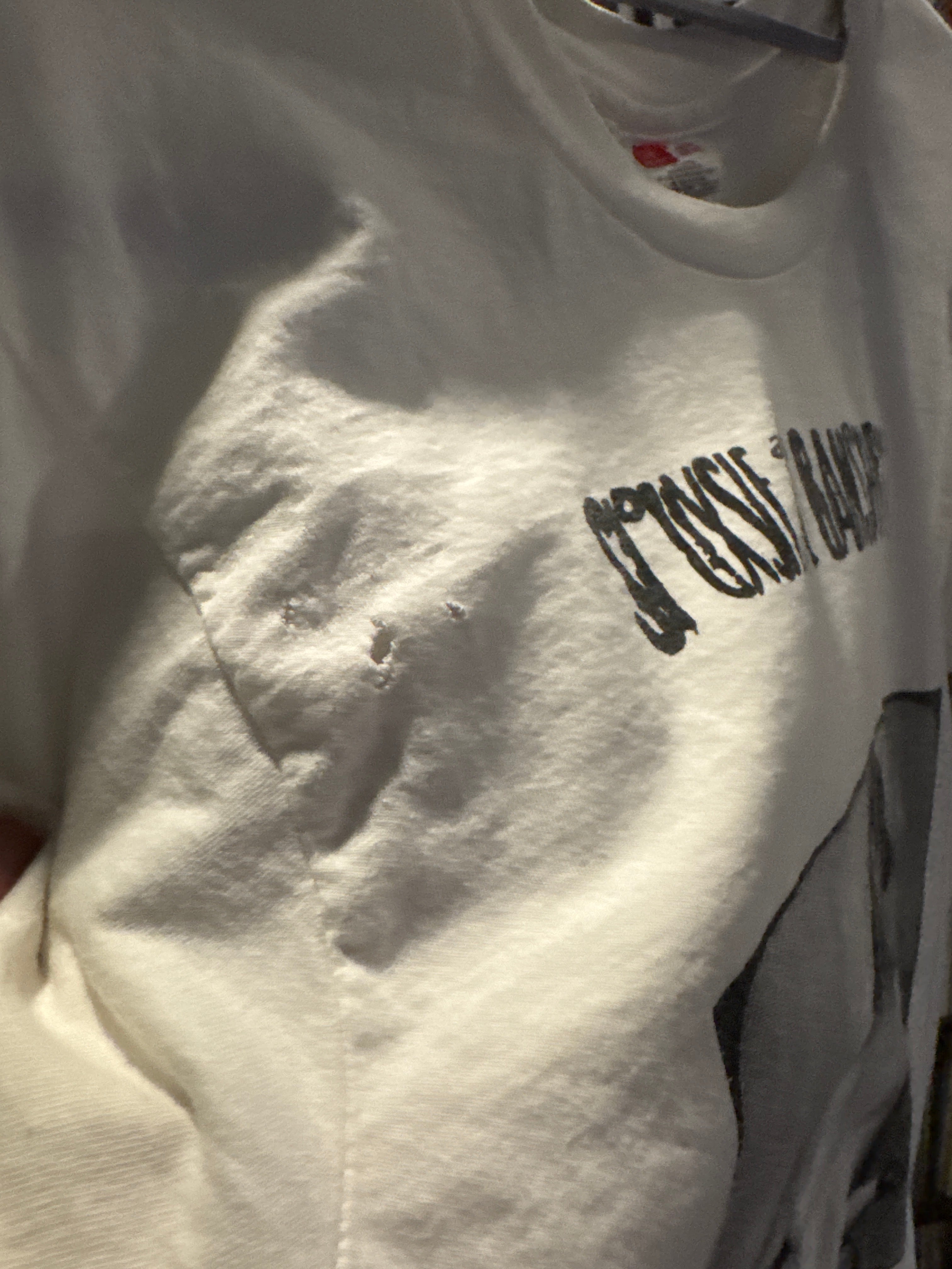 90s Sioxsie and the Banshees Nude Shirt M Hanes White
