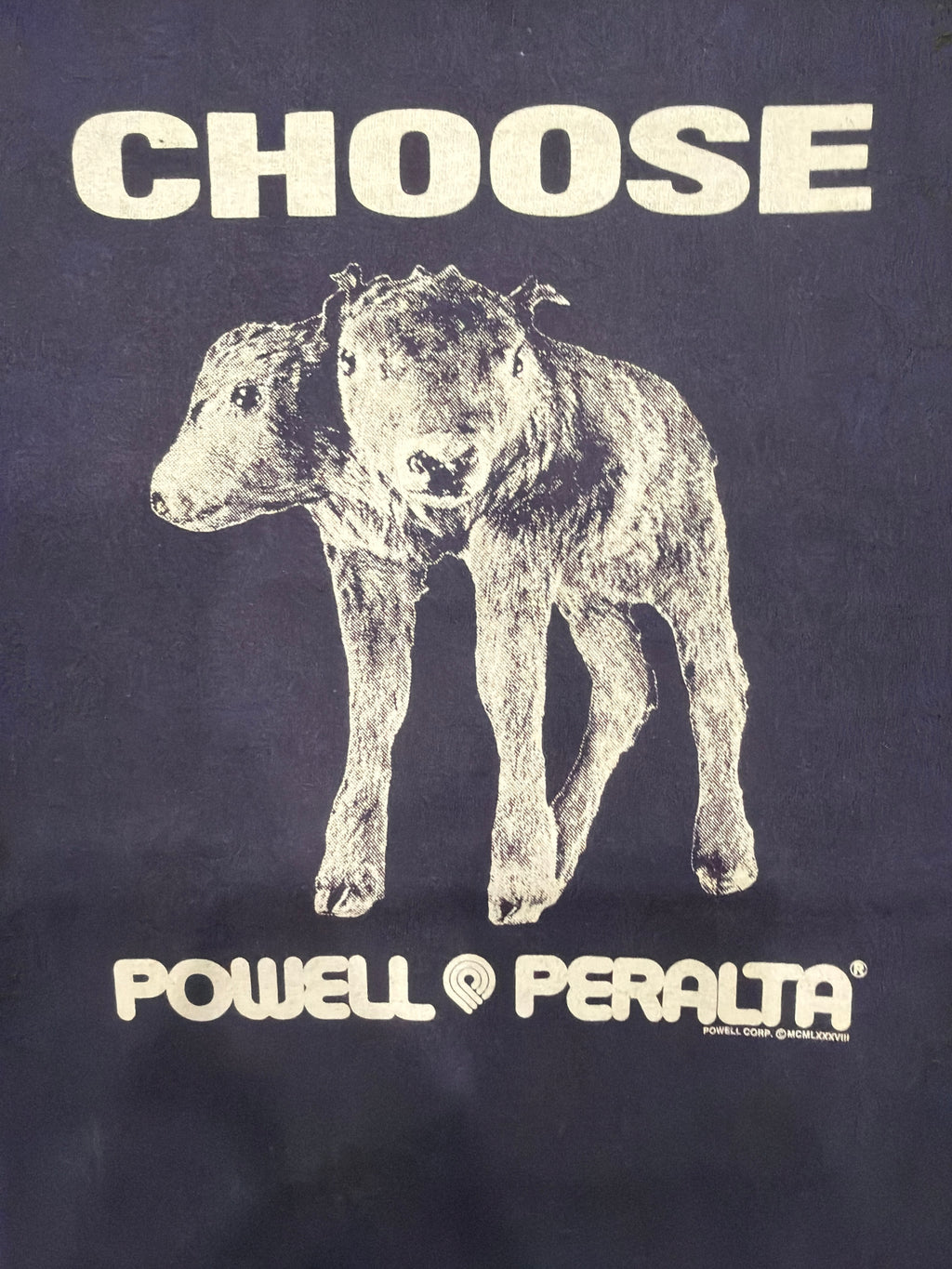 00s Powell Peralta Two Headed Goat Lamb Art Blue T-Shirt Large