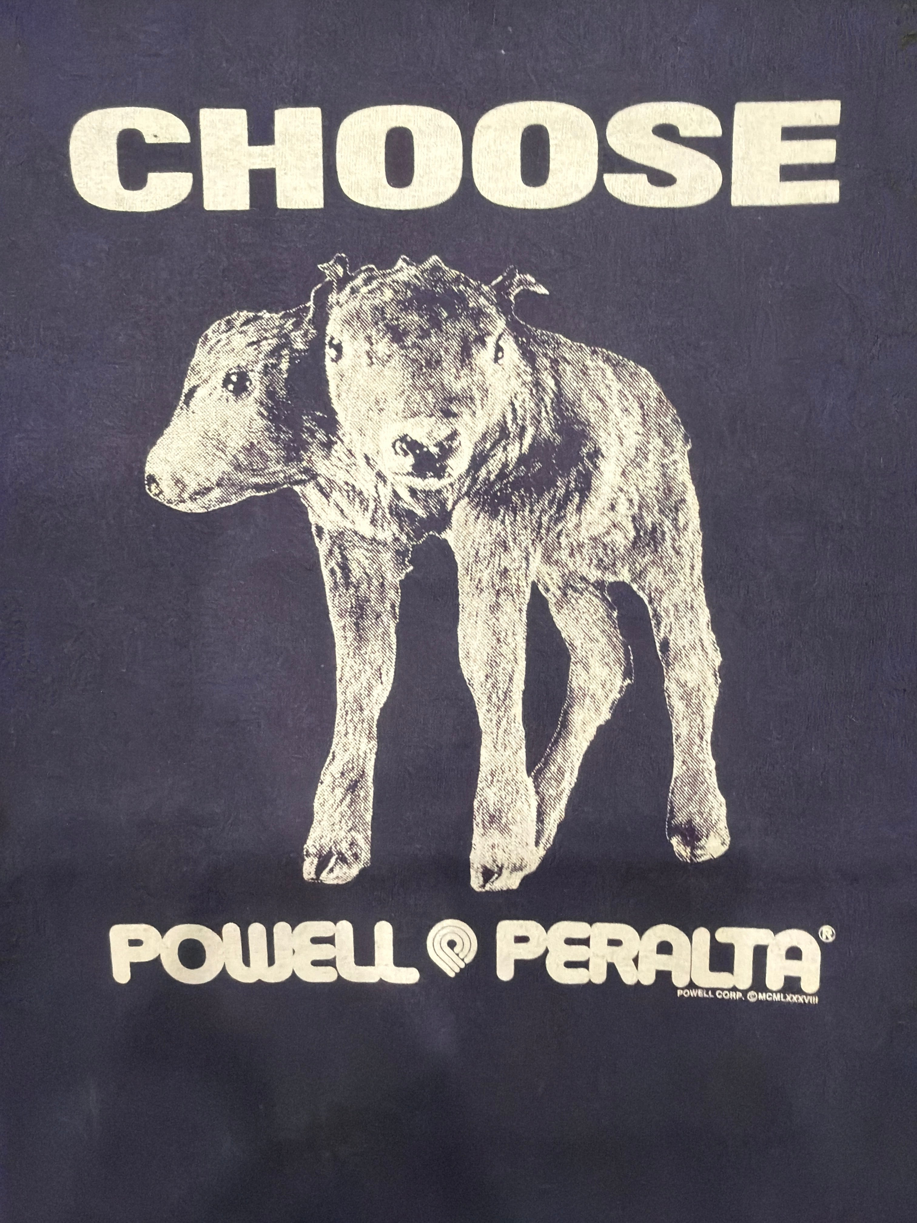 00s Powell Peralta Two Headed Goat Lamb Art Blue T-Shirt Large