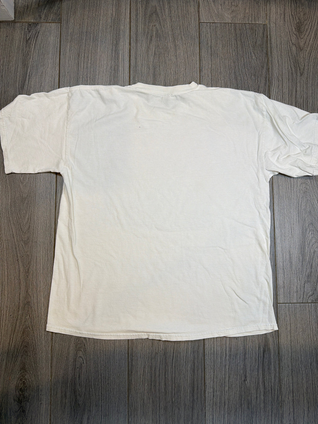 90s Collective Soul Home White Gildan T-Shirt XL