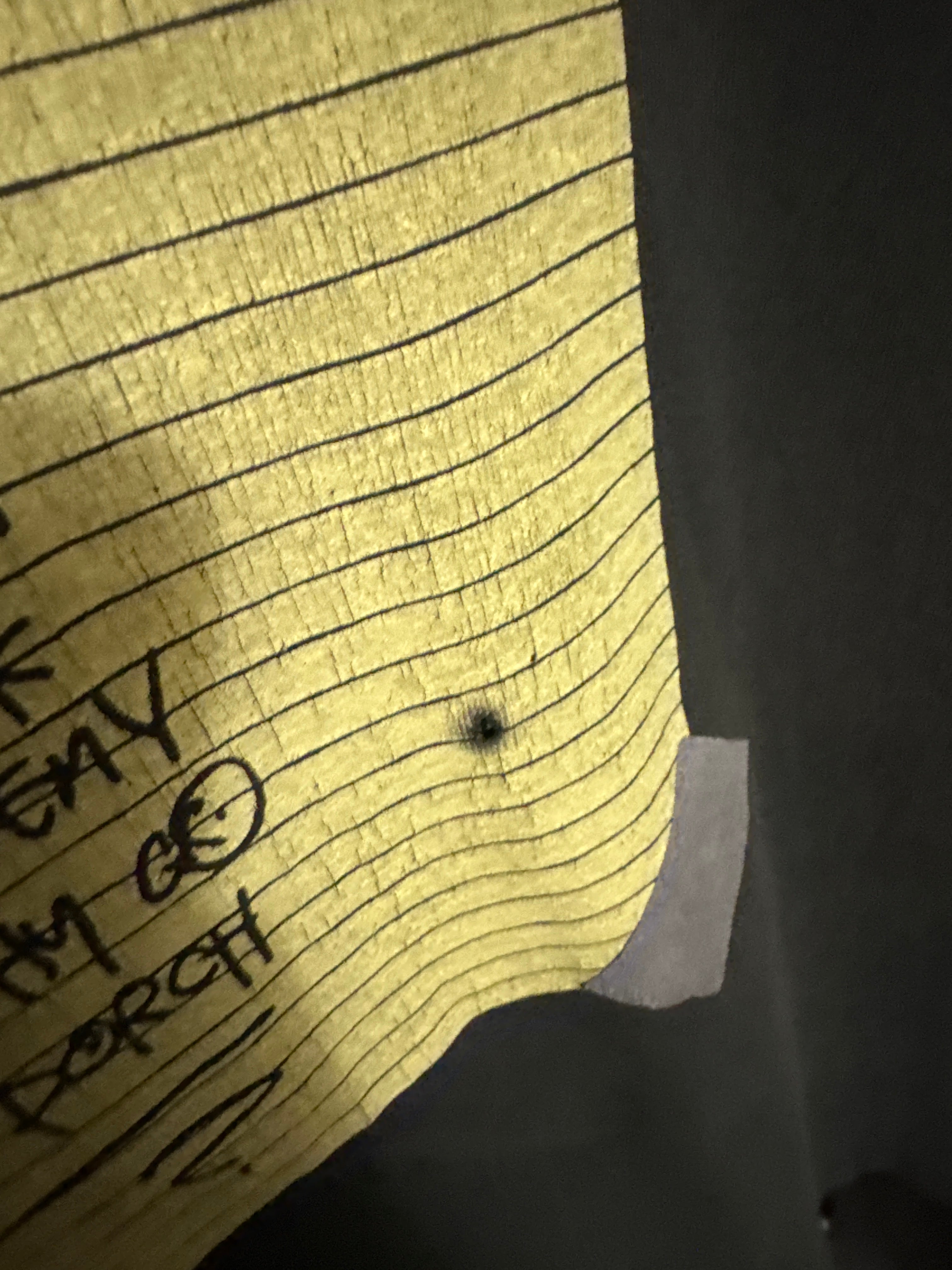 1993 Pearl Jam Alive Stick Double Sided FotL Vintage Black T-Shirt XL