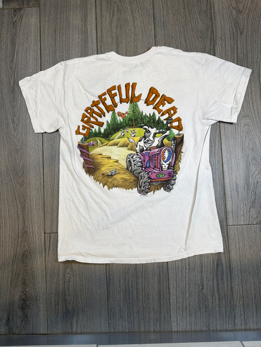 Grateful Dead High Gate Liquid Blue Vermont White T-Shirt Large