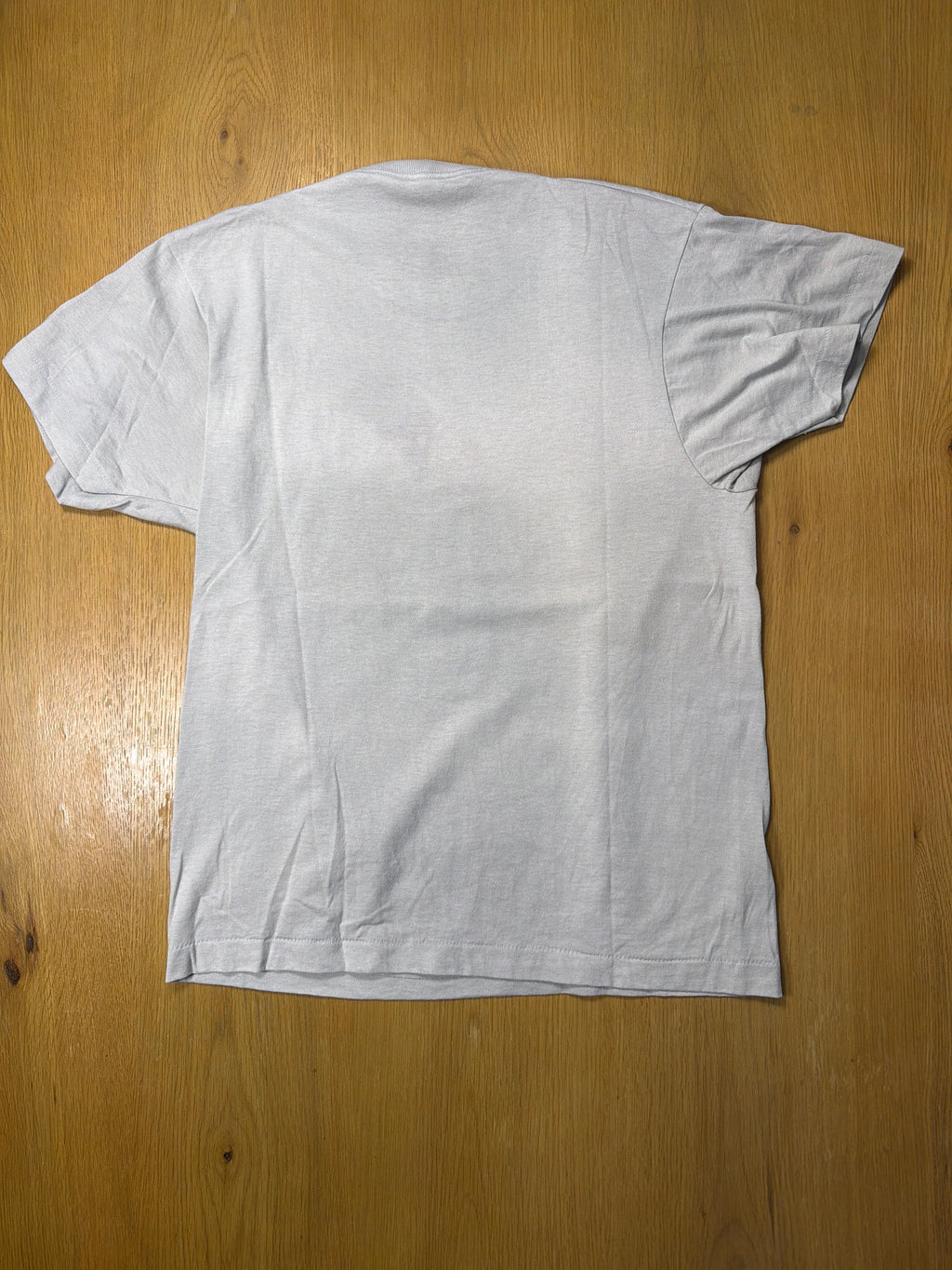 Vintage Alexandria Technical Institute Snow Week 1989 Blue T-Shirt M/L