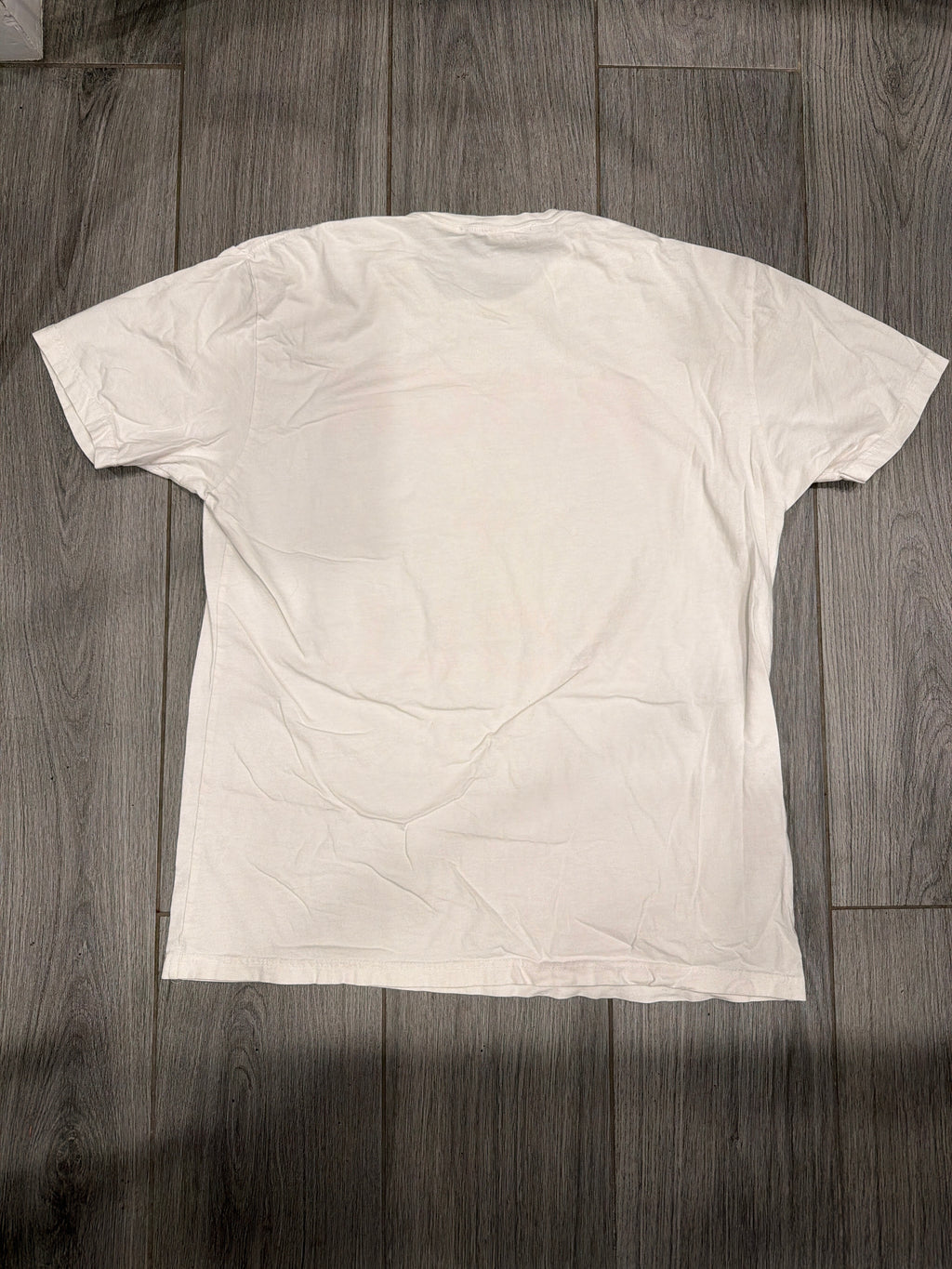 2009 The Doors Jim Morrison Rock + Roll Mugshot White T-Shirt Large
