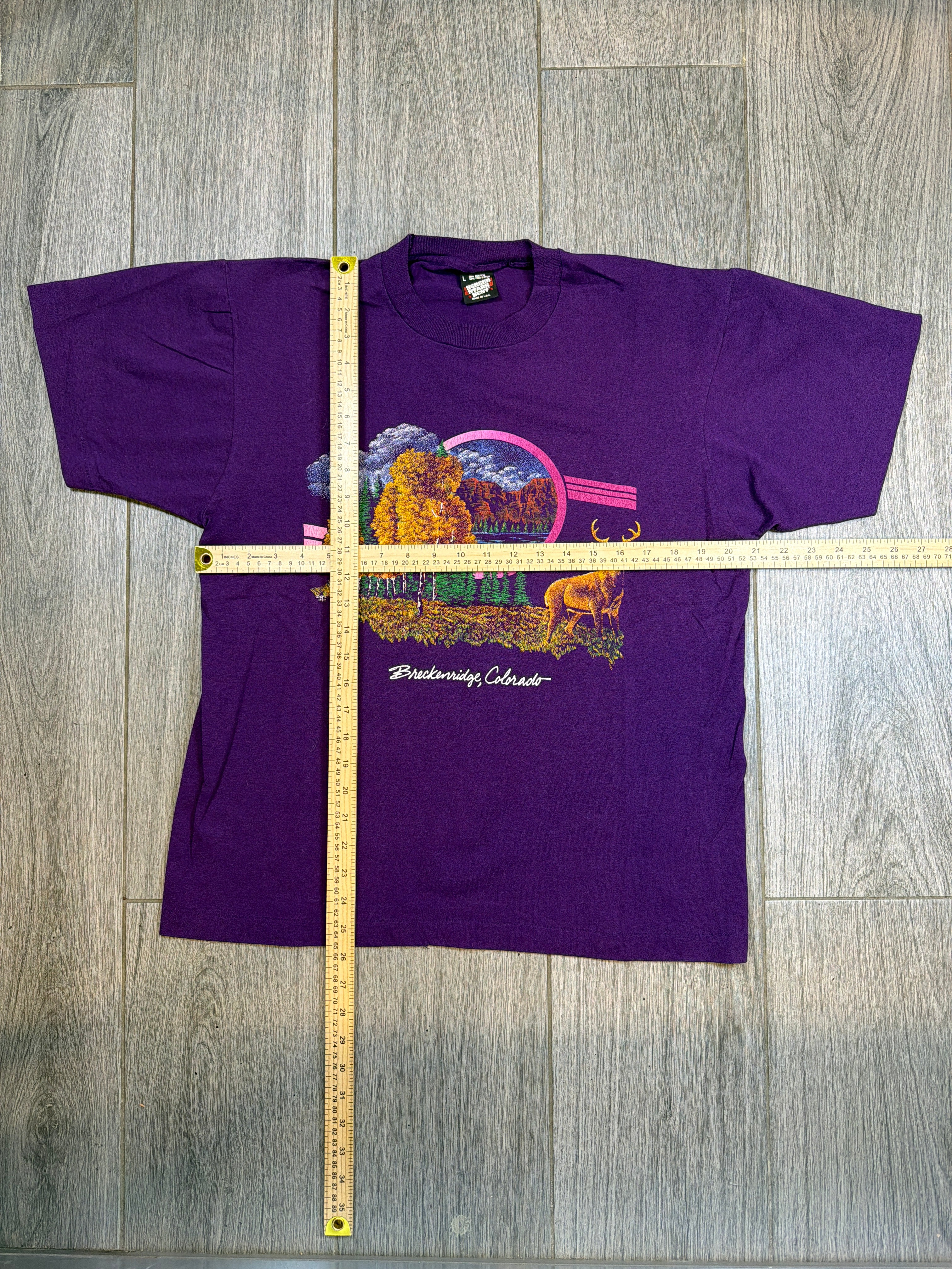 90s Breckenridge Colorado Nature Scene Screen Stars Purple T-Shirt Large