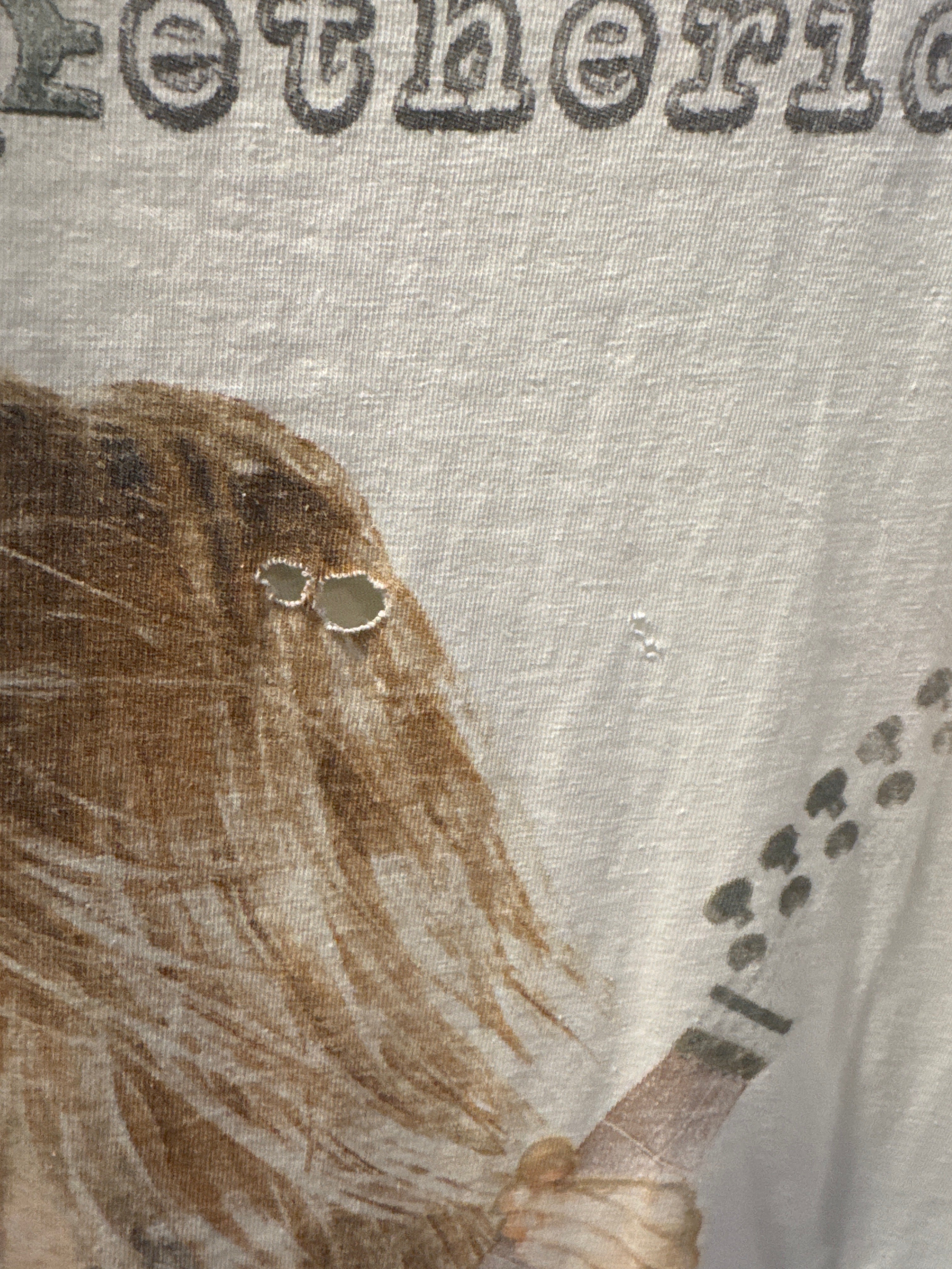 1995 Melissa Etheridge Your Little Secret Tour T Shirt White XL Winterland