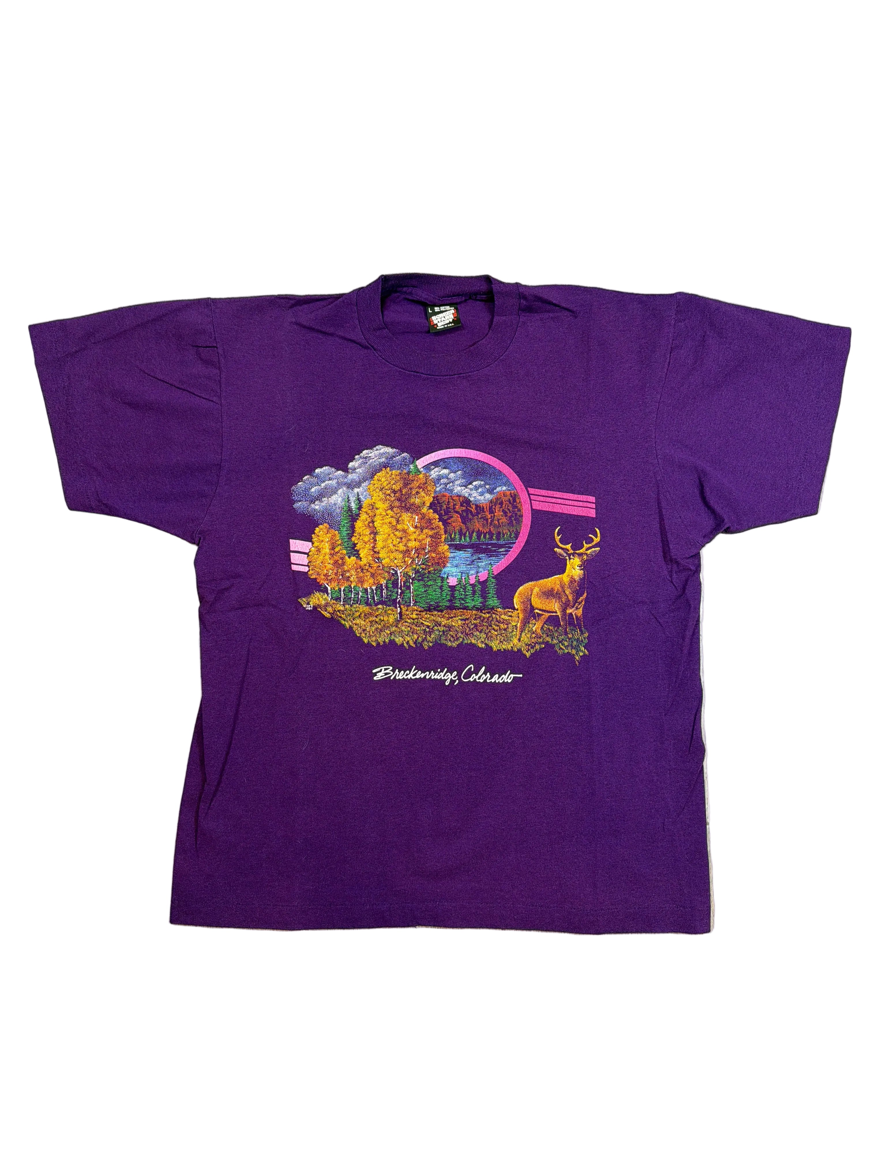 90s Breckenridge Colorado Nature Scene Screen Stars Purple T-Shirt Large