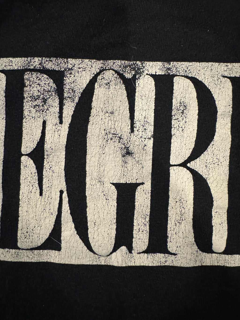 Integrity Logo Shirt M Gildan Beautiful Wear Black