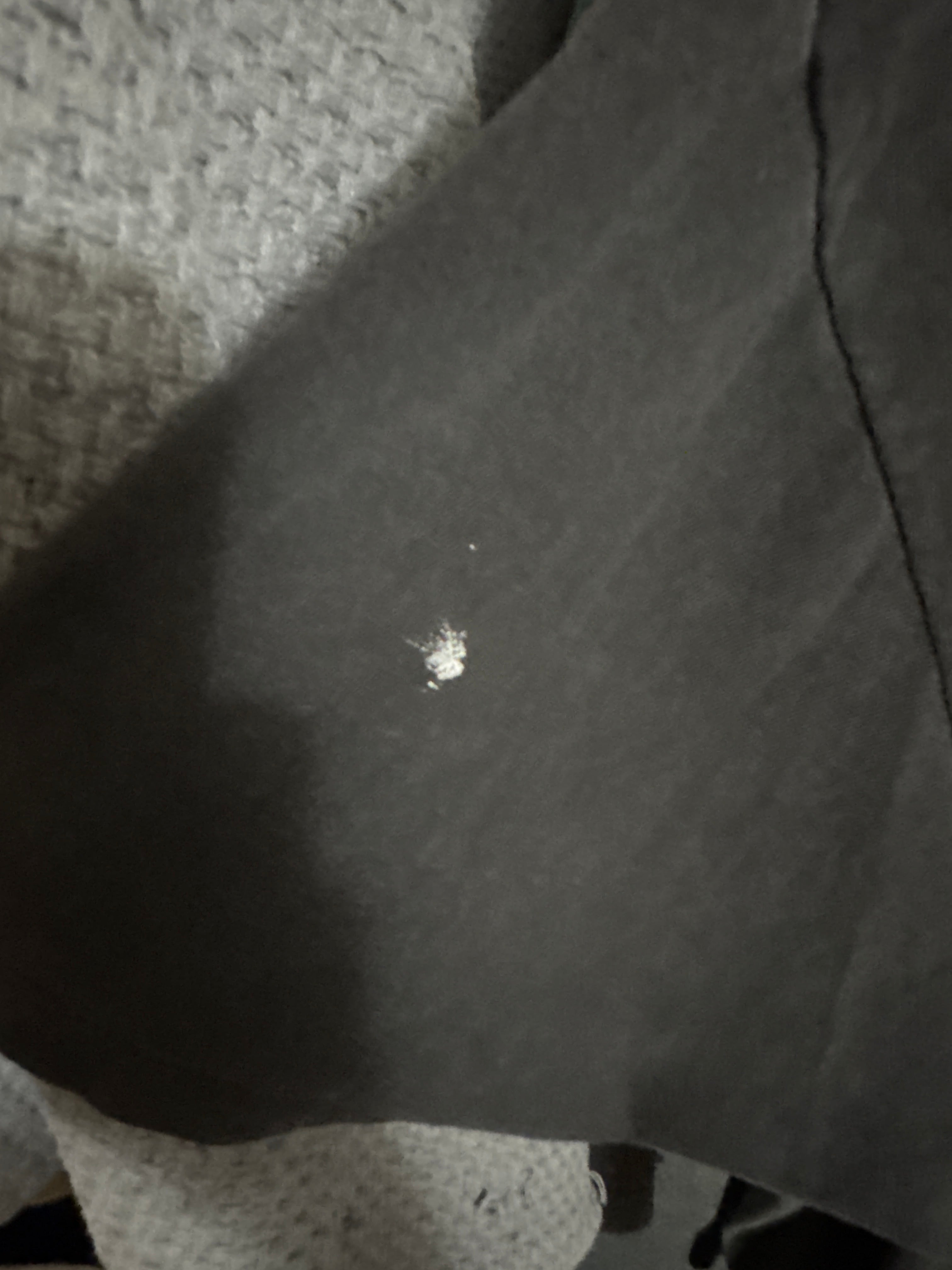 1993 Pearl Jam Alive Stick Double Sided Vintage Hanes Backstage T-Shirt XL