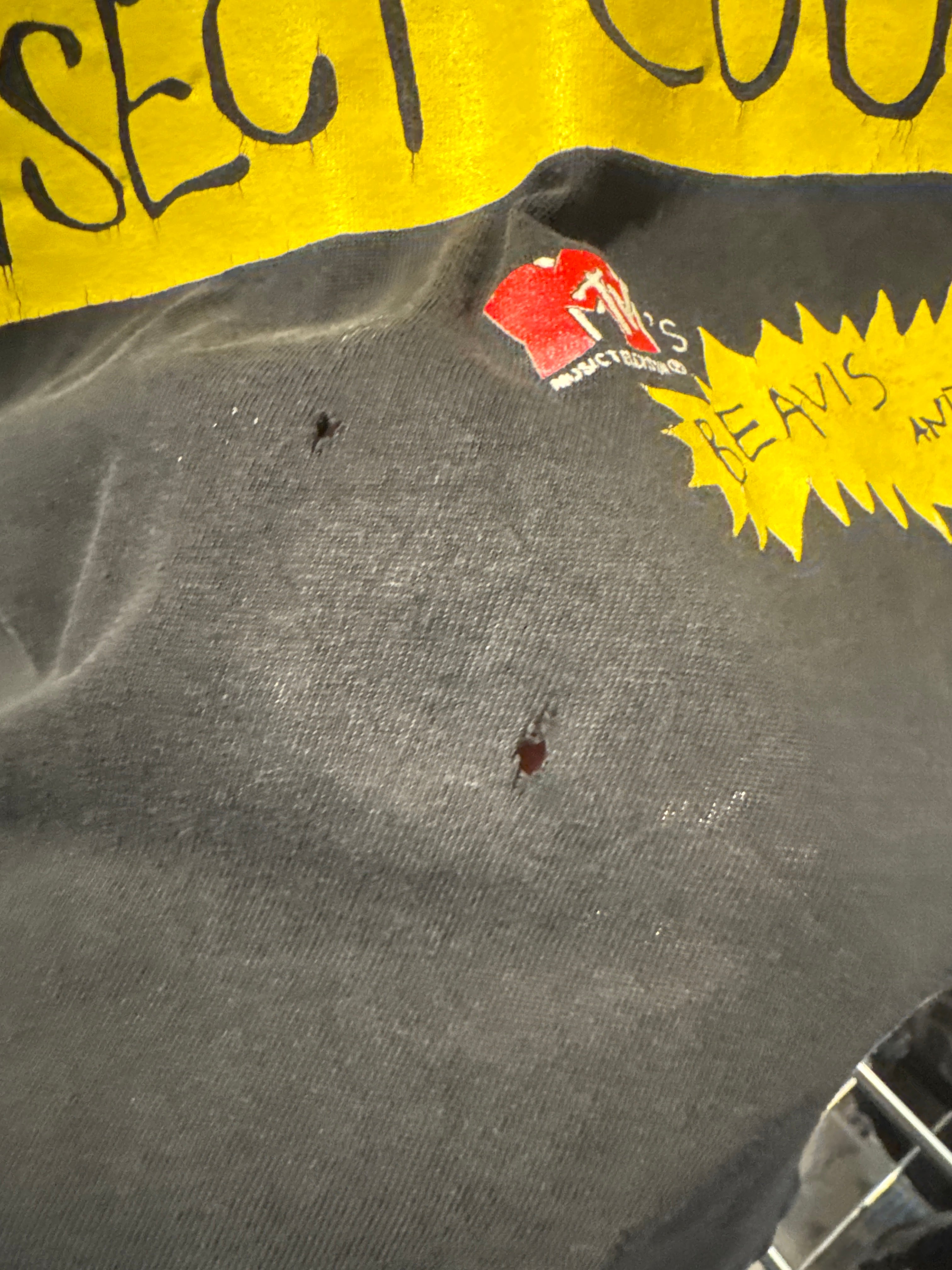 1993 Beavis and Butthead XL Tourchamp Distressed Black Shirt