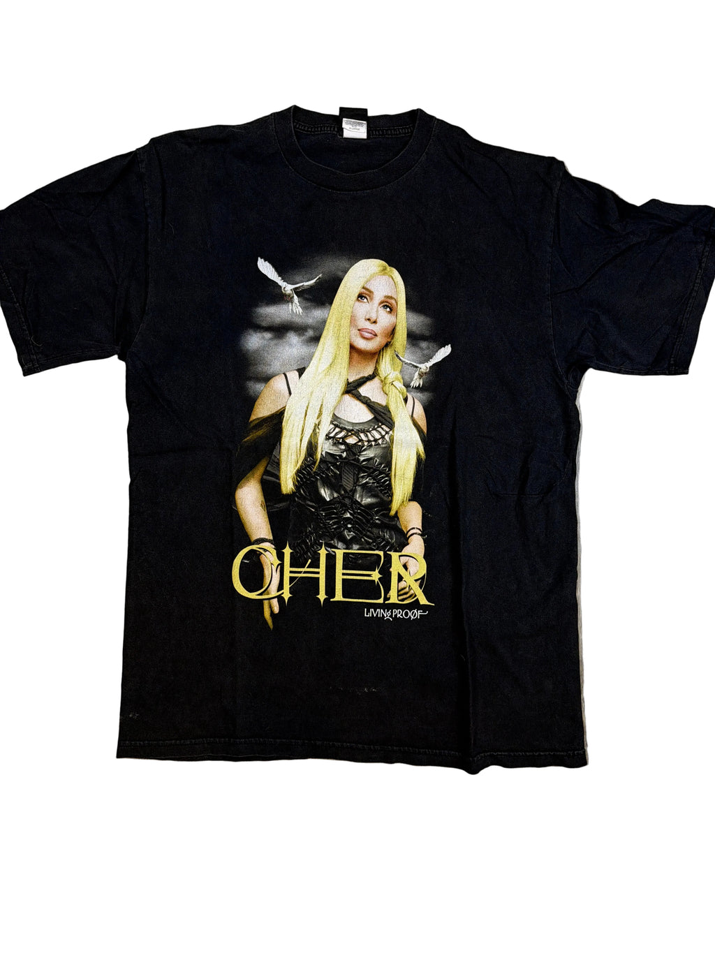 2002 Cher 'Living Proof' Tour Giant T-Shirt XL