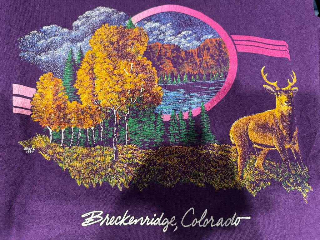 90s Breckenridge Colorado Nature Scene Screen Stars Purple T-Shirt Large